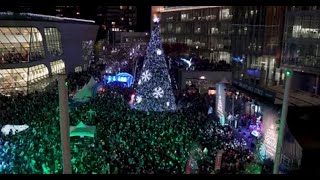 Surrey Tree Lighting Festival 2023 [upl. by Llerrem444]