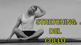 Stretching Parte 13 Cervicali [upl. by Aleirbag329]