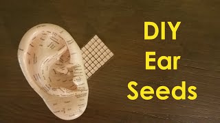 Doityourself Ear Seeds [upl. by Florina895]