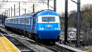 Trains at Northallerton ECML  22022023  Blue Pullman HST [upl. by Haiasi481]