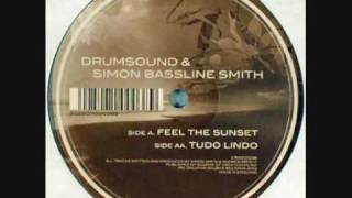 Drumsound amp Simon Bassline Smith  Tudo Lindo [upl. by Nemlaz]