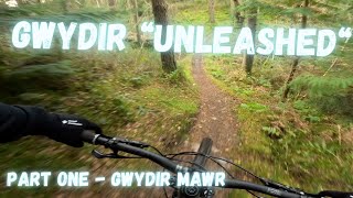 Gwydir Forest  The Welsh forest with a split personality  PART ONE [upl. by Hairahs]