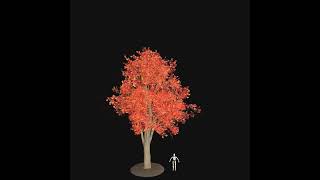 Autumn Vegetation Pack 01 — Tree 05 3dmodeling gamedev unity speedtree 3denvironment [upl. by Euqor]