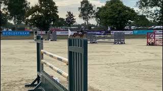 Krossan foxhunter Hickstead [upl. by Ycnuahc234]