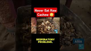 Never Eat Raw Cashew 😳 cashew rawcashew dangerous trendingshorts healthcare poisonfood viral [upl. by Attekal159]