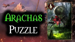 Arachas Puzzle  Thronebreaker The Witcher Tales [upl. by Lladnik]