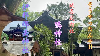 今回も延喜式内社「伊邪那美神社」「鴨神社」全国でもよく知られいる神社の元社とされている [upl. by Zaid]