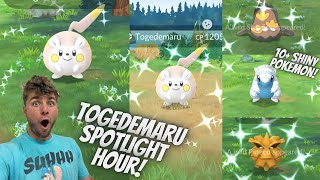 ✨Togedemaru Spotlight Hour In Pokemon Go✨ [upl. by Zashin]