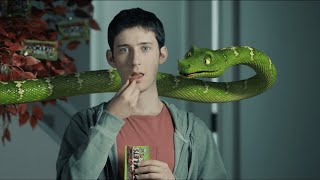 Rocklets Auto Commercial  Talking Animal Snake [upl. by Birdie657]