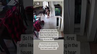 Woman has to run outside to catch her dog that just snuck out [upl. by Ailecara]