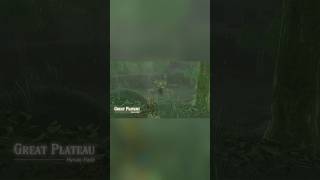 Loreaccurate Link trickshots battle talus [upl. by Eenahpets]