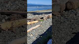 Tide coming in at Seacrest Beach in Qualicum Beach  3 hours in 2 minutes wwwwinterphoto2006com [upl. by Conger]