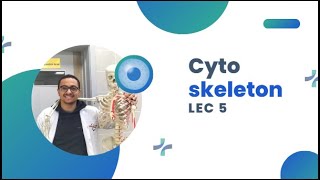 شرح المحاضرة الخامسة Histology1 CYTOSKELETON [upl. by Kassia955]