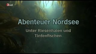 Abenteuer Nordsee  GERMAN DOKU [upl. by Nnanaej]