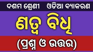 Natwa Bidhi Question Answer  Class 10 Odia Grammar Natwa Bidhi  Natwa Bidhi Class 10 Grammar [upl. by Reena]