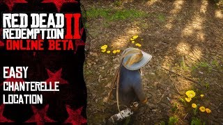 Easy chanterelle mushrooms locations in Rhodes  Red Dead Redemption 2 Online [upl. by Hsinam]