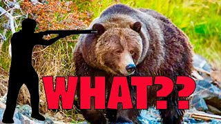 What a Professional Bear Guard in Alaska Uses Against Brown Bears [upl. by Quirk880]