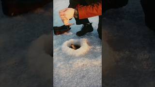 fishing ice ice fishing hobby hunting [upl. by Varin]