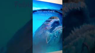 Test Na Fobie Thalassophobia [upl. by Steven]