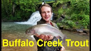 Trout Fishing Tennessees Buffalo Creek [upl. by Arramas549]