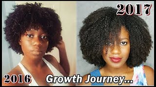 365 Days in ONE VIDEO  Natural Hair GROWTH Journey [upl. by Odessa866]