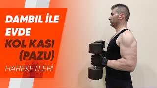 15 DK Efsane Kol Antrenmanı  Biceps amp Triceps Dambıl  velikaans [upl. by Sage]