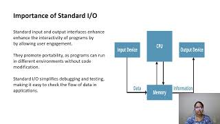 Standard Input And Output Interface [upl. by Kcirrek993]