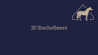 30 Stachelbeere [upl. by Dachi]