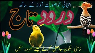 Darood E Taj  درود تاج  darood pak  Darood Shareef  درود شریف Ep35 [upl. by Rubia940]