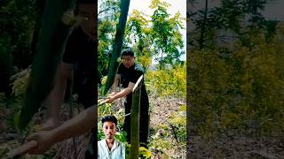 Words Unique tree cutting Skill shorts fact viral shortvideos [upl. by Tandi]