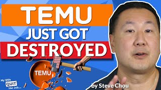 Temu Just Got Destroyed By The US Government  Heres The Full Story [upl. by Nerred]