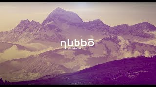 Nubbo  Un incubateur performant au service des startups [upl. by Naejamron]