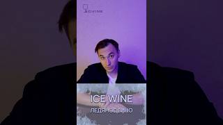 Ледяное вино education wine alcohol icewine обзор зима обучение winelover виноделие [upl. by Zeni589]