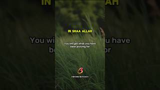 Rely upon ALLAH 🤲 followme follower everyone everyonehighlights islamicpost quranvideo السديس [upl. by Nojram232]