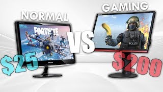 MONITOR BARATO vs MONITOR GAMER  Comparativa en Fortnite y CSGO [upl. by Langston]