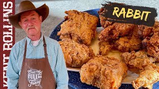 How to Cook Rabbit Two Ways  Deep Fried Rabbit and Hasenpfeffer [upl. by Tito855]