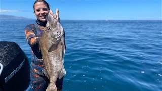 Wettie TV  SPEARFISHING Great Barrier ISLAND  SHARKS Snapper and Boarfish [upl. by Oriane235]