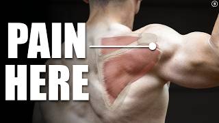 Rotator Cuff Tear Rehab amp Exercises Shoulder Pain Tendinitis Impingement [upl. by Nalepka558]