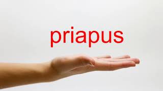 How to Pronounce priapus  American English [upl. by Neeruam]