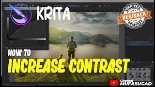 Krita How To Increase Contrast [upl. by Niveb112]