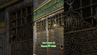 Jaruri Bayan Rasool ﷺ Allah  Roza e Rasool ﷺ 🤲  ISLAMIC VIDEO  short rozaerasool trend video [upl. by Schoenberg]