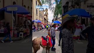 colombia bogota vacation holiday ideas travel home aruba youtubeshorts youtubevideo fyp [upl. by Other]