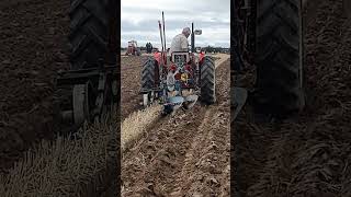 International 434 Tractor at Cruckton Ploughing Competition  Saturday 14th September 2024 [upl. by Yvel]