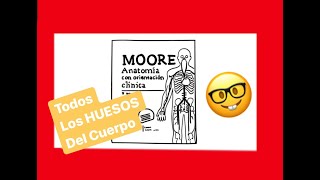 CUANTOS HUESOS 🤓 TIENE EL CUERPO HUMANO 🤷🏻‍♂️ Dr Arkel te ayuda a contarlos [upl. by Noellyn517]