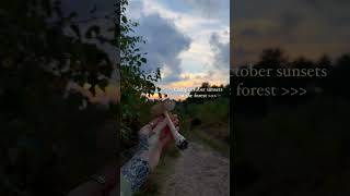 Forest sunset amanita muscaria  sunsets forest amanita mushrooms shorts [upl. by Gerik]