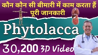 Phytolacca Homoeopathic Medicine uses in Hindi  Phytolacca 30  Phytolacca 200 Homoeopathic [upl. by Nyrhtac]