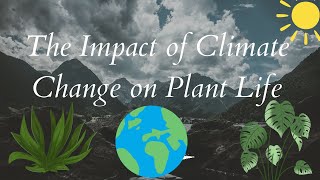 The Impact of Climate Change on Plant Life [upl. by Eilatam146]