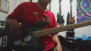 ERASERHEADS  OVERDRIVE  BASS COVER [upl. by Sapowith587]