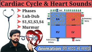 Cardiac Cycle क्या होती है  Phases  Heart sound in Hindi  Murmurs क्या होता है [upl. by Mohammed]