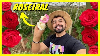 Visitei uma Plantação de Rosas  Gutejando [upl. by Riatsala]